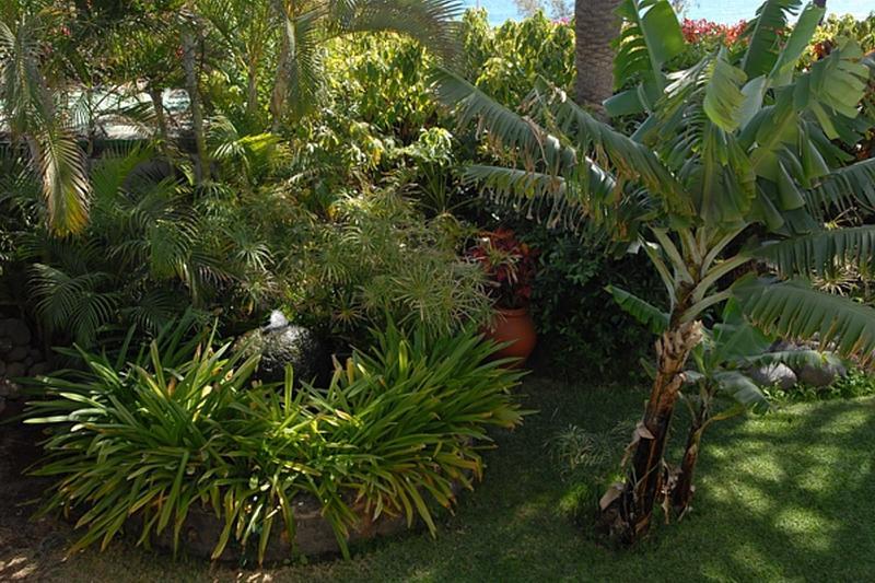 Nogalera Hotel San Bartolomé Екстериор снимка
